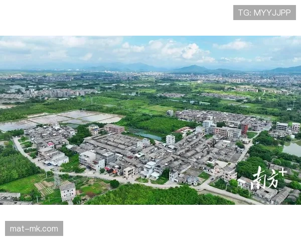 兰斯聚焦绿色经济与智能科技融合,擘画创新发展新蓝图 兰斯聚焦绿色经济与智能科技融合,擘画创新发展新蓝图