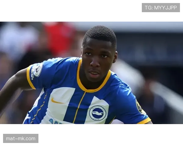 凯塞多展现全能覆盖范围，助力球队攻防两端表现稳健提升